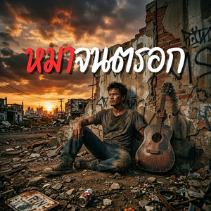 หมาจนตรอก by monkey studio2