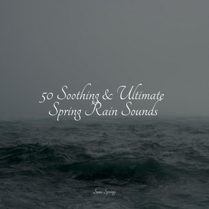 50 Soothing & Ultimate Spring Rain Sounds album