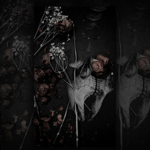 Tension of Tragedy by From Thieves to Martyrs