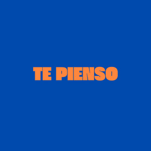 tendencia DJ - Te Pienso