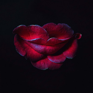 Мона Лиза by Клим Добров