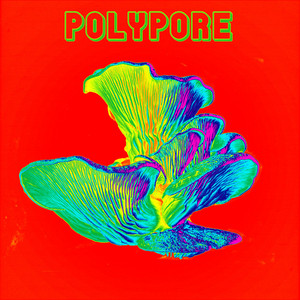 Drive by Polypore