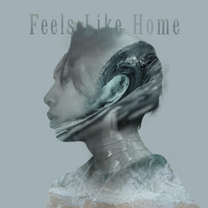 Обкладинка: Coming Home