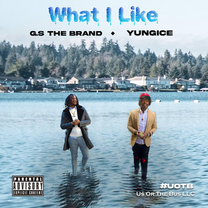 Portada de What I Like