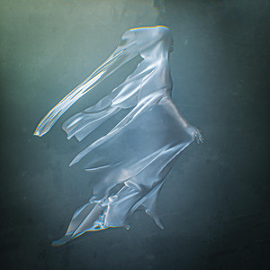 Within The Fog by Public Cult