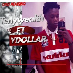 Ydollar - Tenywealth