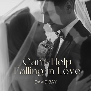 Can't Help Falling in Love (Wedding Song)