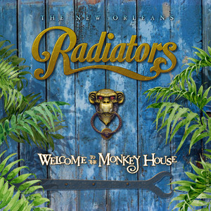 Time to Rise and Shine by The Radiators