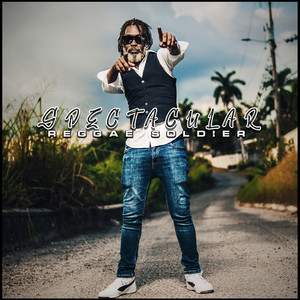 Dub Soldier by Spectacular, Vinney Satta