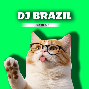DJ BRAZIL by BAYU AP
