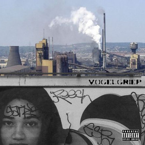 VOGELGRIEP - Niet Alle Vogels Fluiten (Intro)