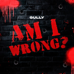 Portada de Am I Wrong