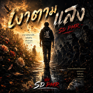 เงาตามแสง by SD PMR