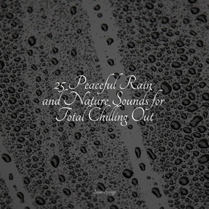 25 Peaceful Rain and Nature Sounds for Total Chilling Out album