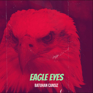 Eagle Eyes by Batuhan Cansız