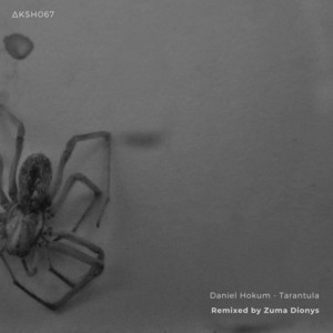 AKASHA MX — Tarantula (Zuma Dionys Remix) (2026)