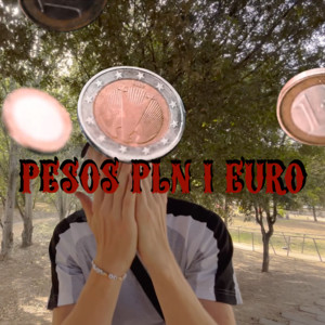PESOS PLN I EURO