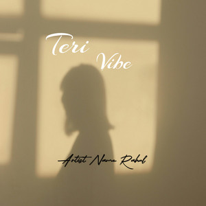 Teri Vibe Panjabi