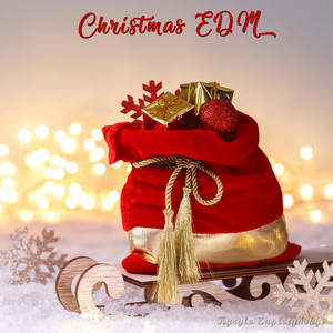 Kyrylo Zaplotynskyi — Christmas EDM