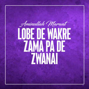 Aminullah Marwat - Lobe De Wakre Zama Pa De Zwanai