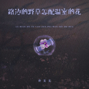 路边的野草怎配温室的花 - 伴奏 by 许文文