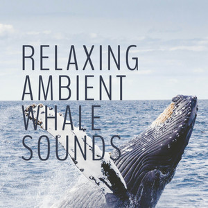Relaxing Ambient Whale Sounds album