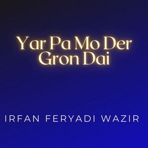 Irfan Feryadi Wazir - Dam Karha Dai Pa Mo De Dam