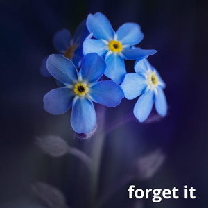 forget it by Bj Blask