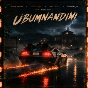 Ubumnandini by METT4LIQ-151, Acidicloopz, Mbalienhle, Monthati_ZA, Dlala Ceekai
