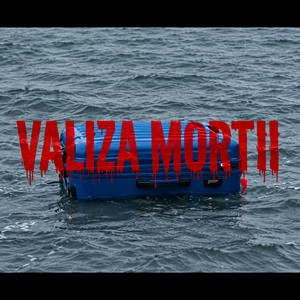 Cu Valiza mortii by Florin Purice