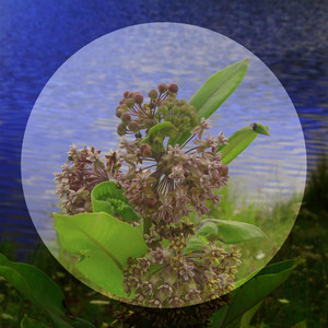 Un Refugio Desde el Mundo by Daryl Shawn