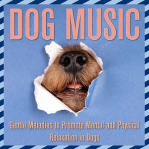 Relaxmydog - Snowy Dunes
