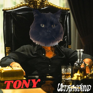 TONY by ULTRASOUND
