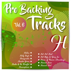 Long Cool Woman in a Black Dress (Karaoke Version Originally Performed By  Hollies) - song and lyrics by Pop Music Workshop | Spotify