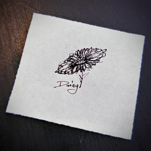 Daisy by Back By Sundown