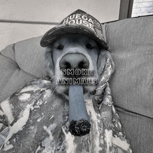 Smoke Animals by Herreraprod