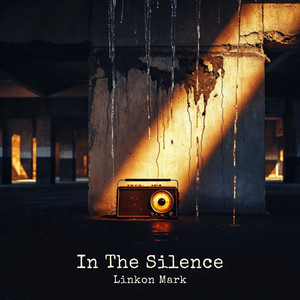 In The Silence by Linkon Mark