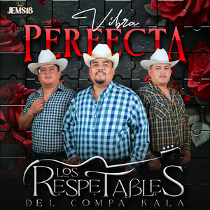 Los Respetables Del Compa Kala - Vibra Perfecta