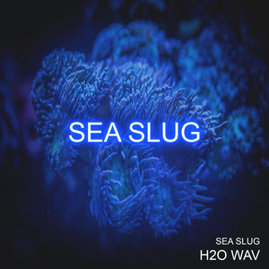 H2O WAV & THE MUSIC VEDA - Sea Slug