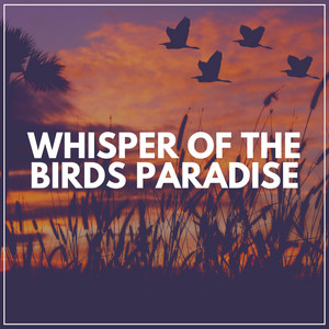 Whisper of the Birds Paradise album