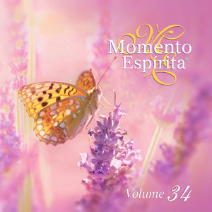 Construindo a Felicidade by Momento Espírita