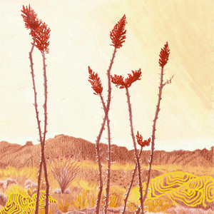Terlingua by Caiola