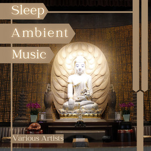 Chakra Serenity by Dino Forbice, Red Neptune, Yoga Oasis