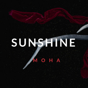 Sunshine by Moha