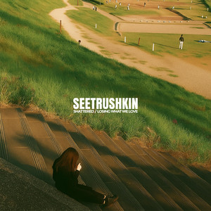 Losing What We Love by Seetrushkin