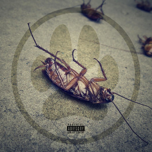Coward by Chip