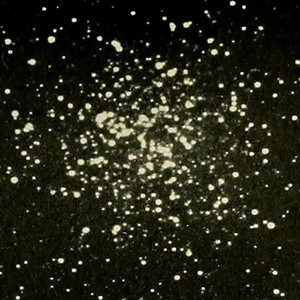 canis major by Harpsichord Canvas