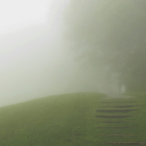 whispering mornings and fog
