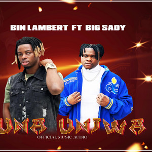 Bin lambert - Úna onjwa (feat. Big Sady)