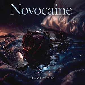 Novocaine by Haviticus